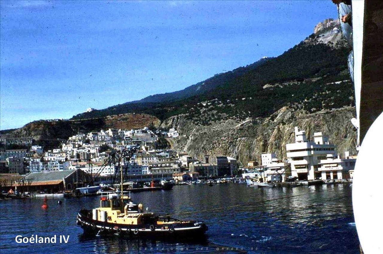 GOELAND IV 05.jpg